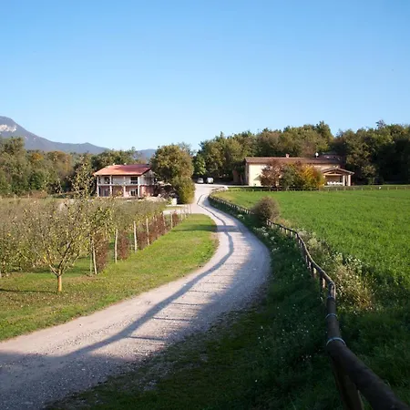 Colleincanto Mercedes